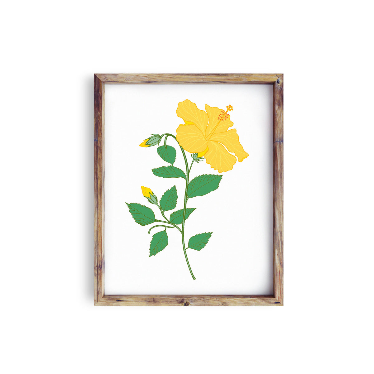 Yellow Hibiscus Solo • Art Print