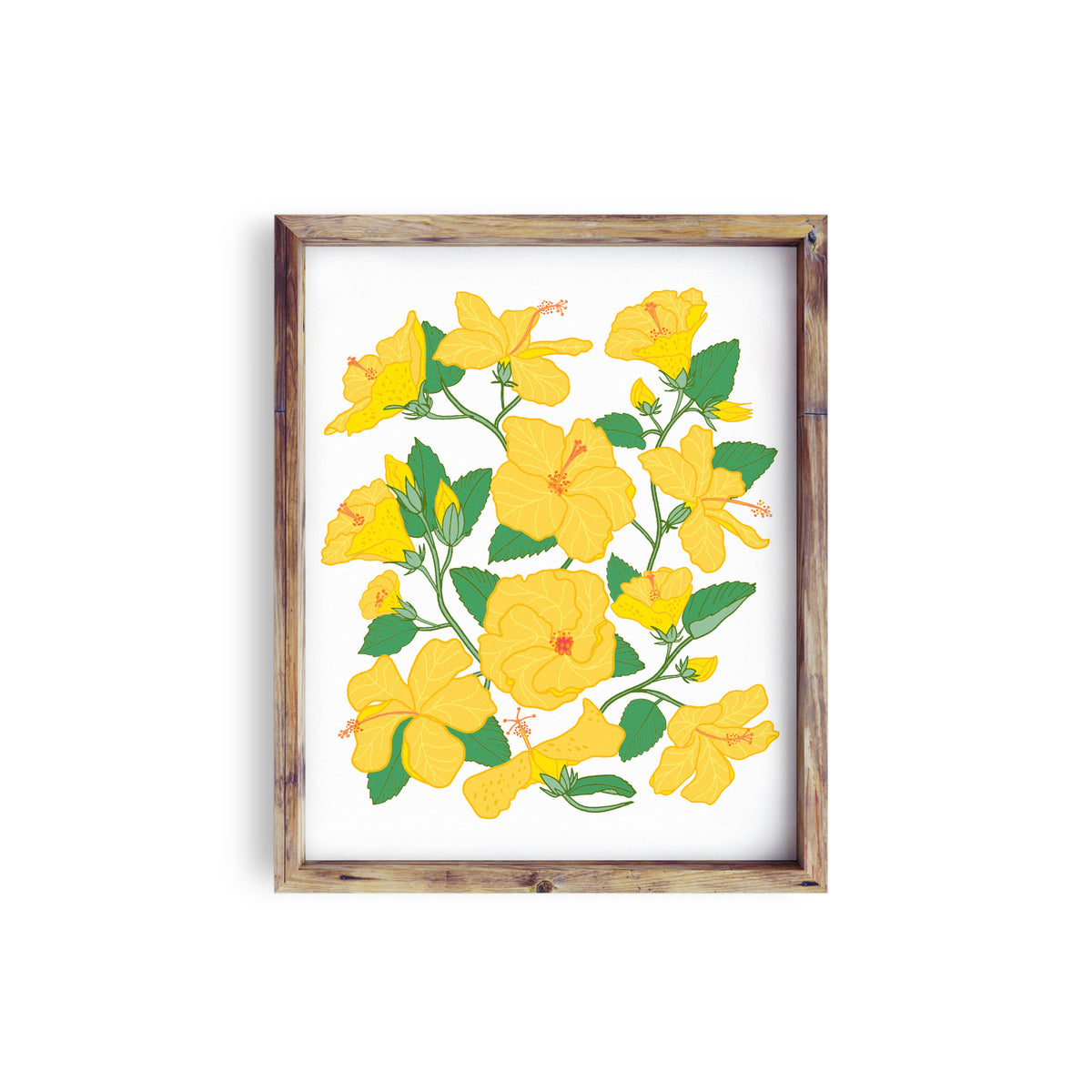 Yellow Hibiscus Cluster • Art Print