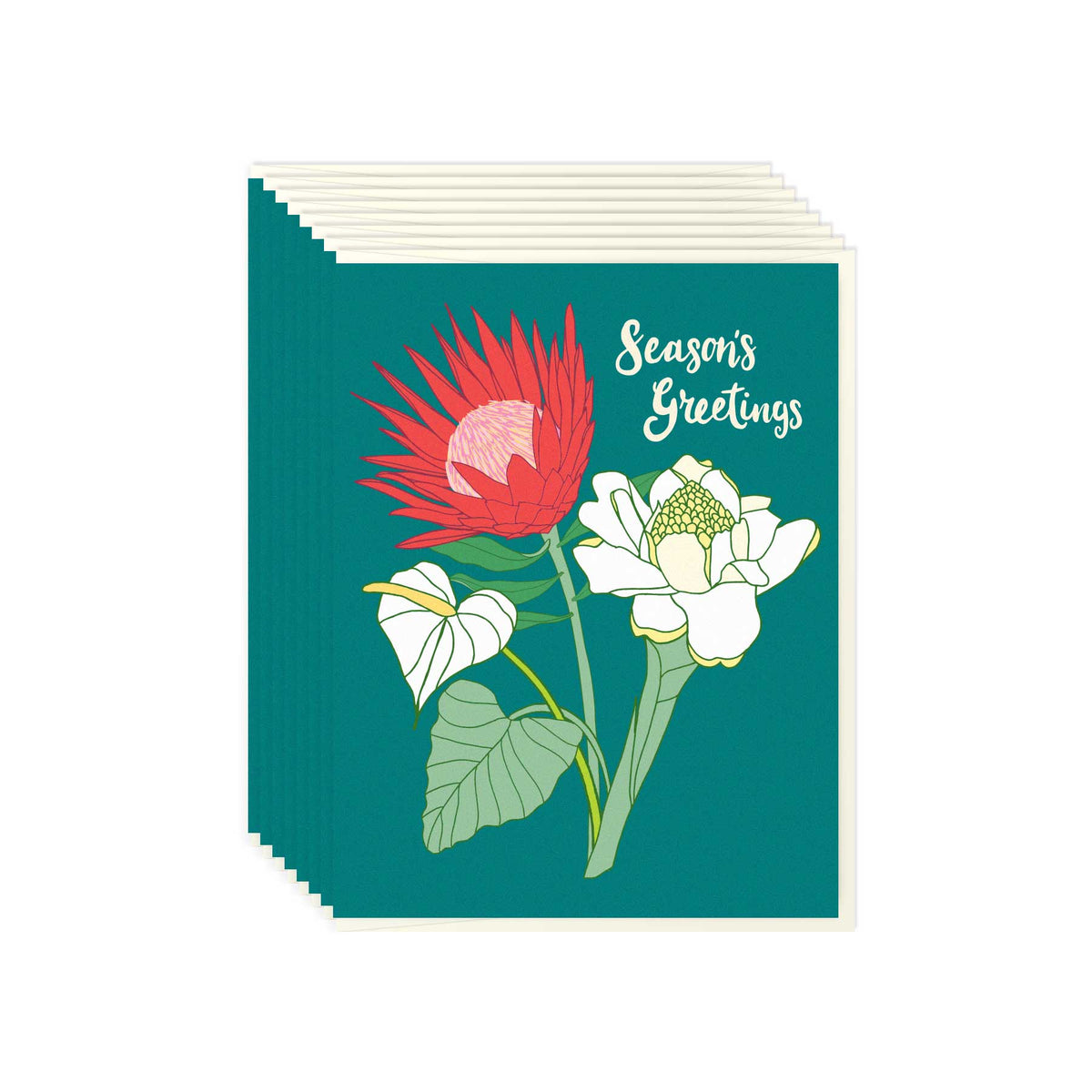 Holiday Ginger Protea - Card Set