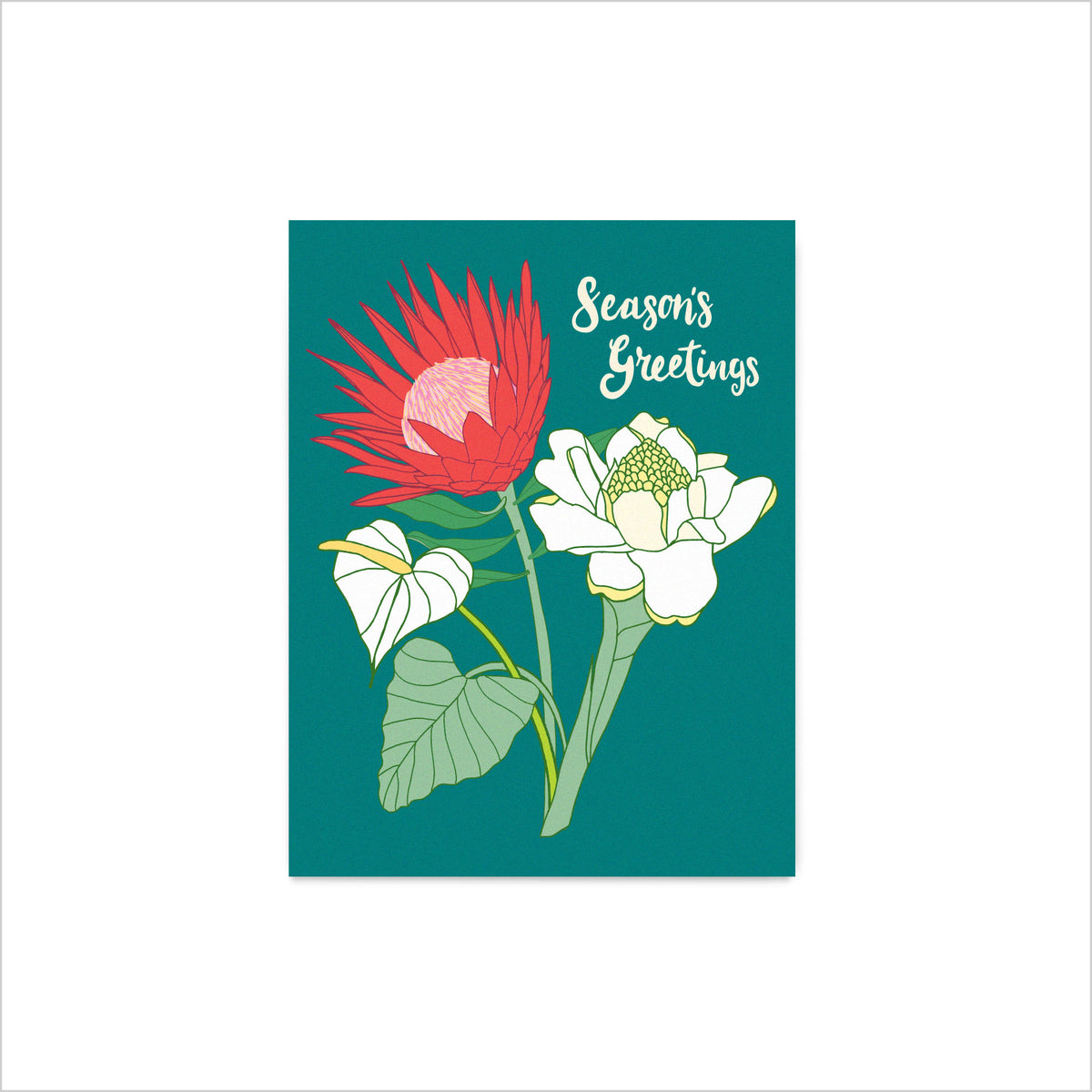 Holiday Ginger Protea - Card Set