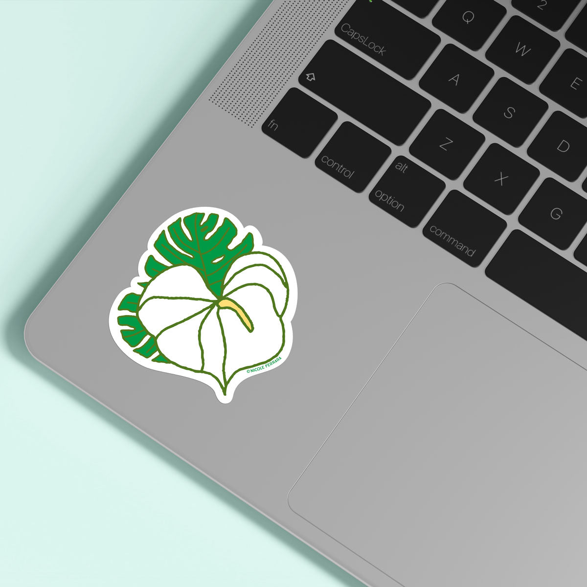 Anthurium Monstera - Sticker