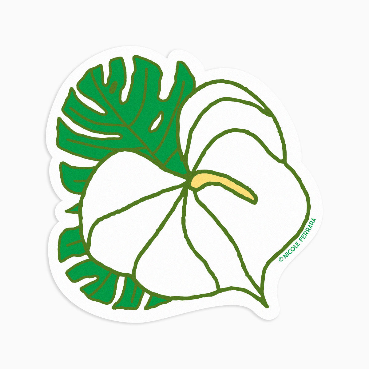 Anthurium Monstera - Sticker